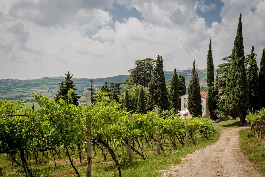 Вілла Massimago Wine Relais Mezzane di Sotto Екстер'єр фото