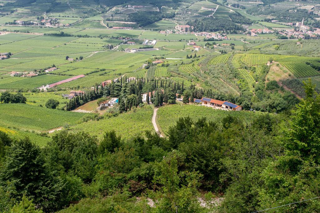 Вілла Massimago Wine Relais Mezzane di Sotto Екстер'єр фото