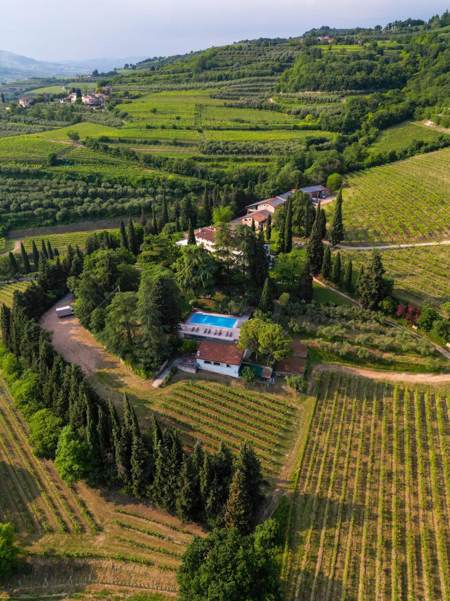 Вілла Massimago Wine Relais Mezzane di Sotto Екстер'єр фото