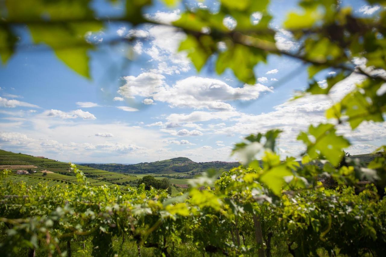 Вілла Massimago Wine Relais Mezzane di Sotto Екстер'єр фото